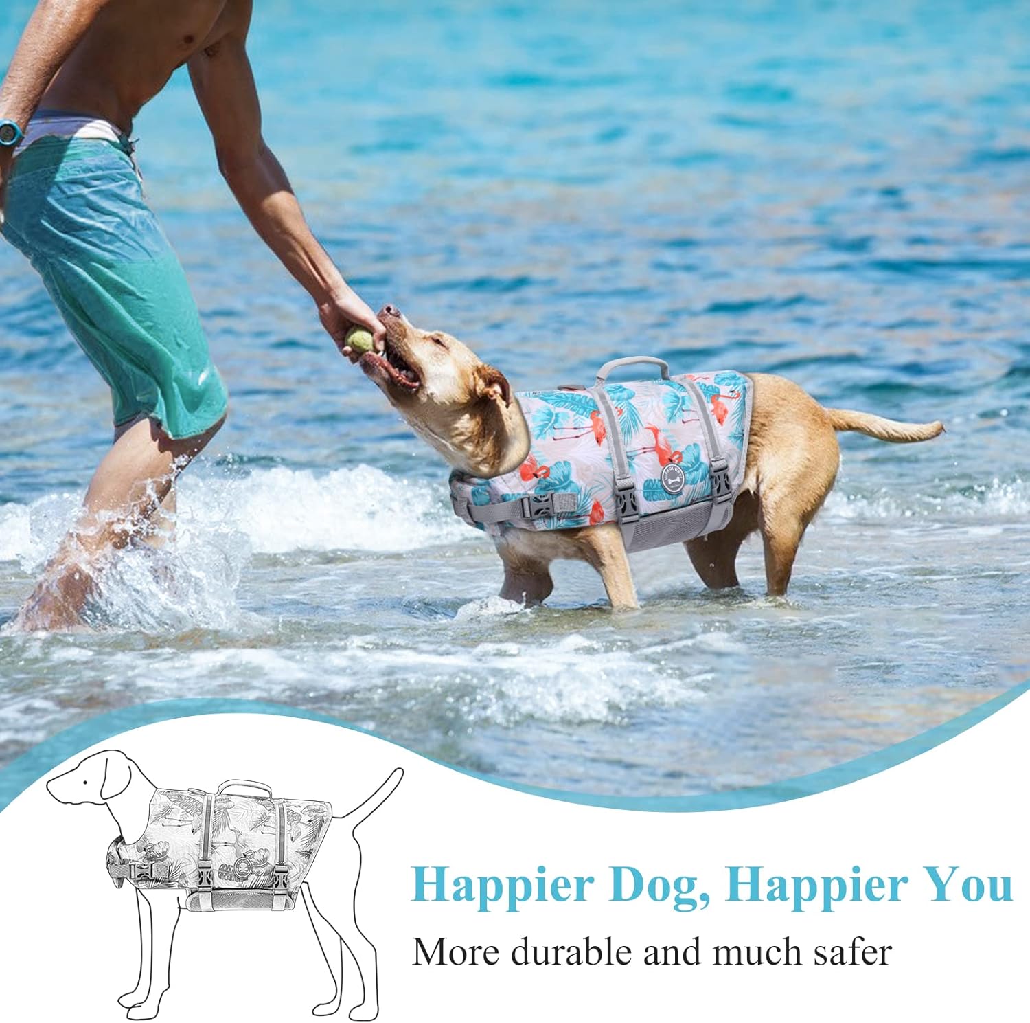 VIVAGLORY + Neoprene Dog Life Vest + Rip Stop Dog Swim Vest, Lightweight & Buoyancy, Puppy Life Jacket for Swimming & Boating