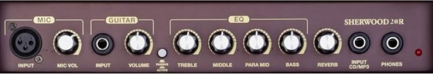 Carlsbro Sherwood 20R 20-Watt Acoustic Guitar Combo Amplifier