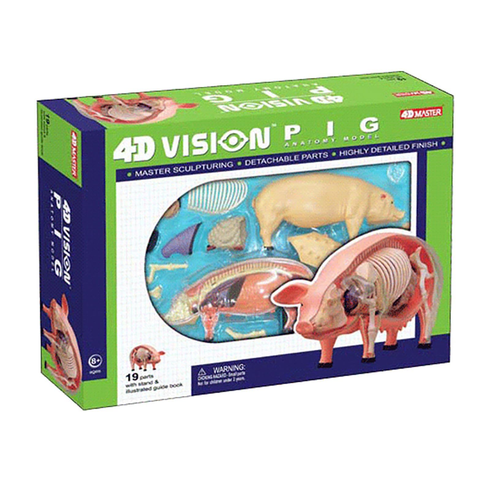 AMITD Modello anatomico di maiale 4D, modello di anatomia scheletrico, modello di anatomia animale - 19 organi staccabili parti del corpo modello animale - modello educativo per dimostrazione medica
