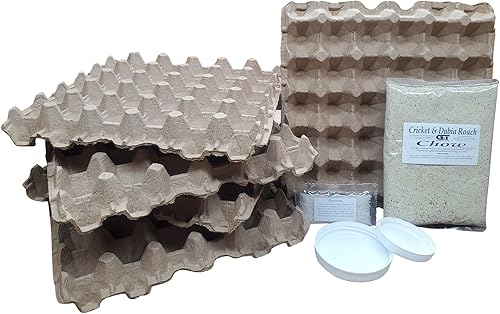 GT Country Living Dubia - Kit de iniciación de colonia de cucarachas con una libra de alimento para gusanos de tierra cucarachas silbantes insectos