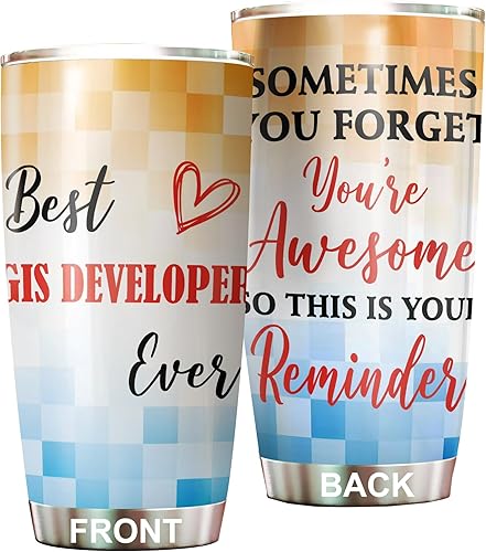 MEDROC Best GIS Developer Ever Vaso de acero inoxidable de 20 onzas, regalos de oficina, mujeres, hombres, amigos de trabajo, compañeros de trabajo,