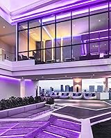 Vista 4 de YM E-Bright - Tira de luz LED de neón púrpura de 5M 16.4 pies 600SMD, lámpara de cuerda de silicona para letrero, barra, hogar, edificio, decoración