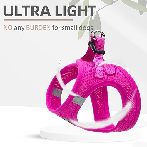 Miniatura 5 de PUPTECK Juego de arnés ajustable para perro, collar y correa sin tirones, arnés para mascotas para perros pequeños y medianos, cachorros y gatos,