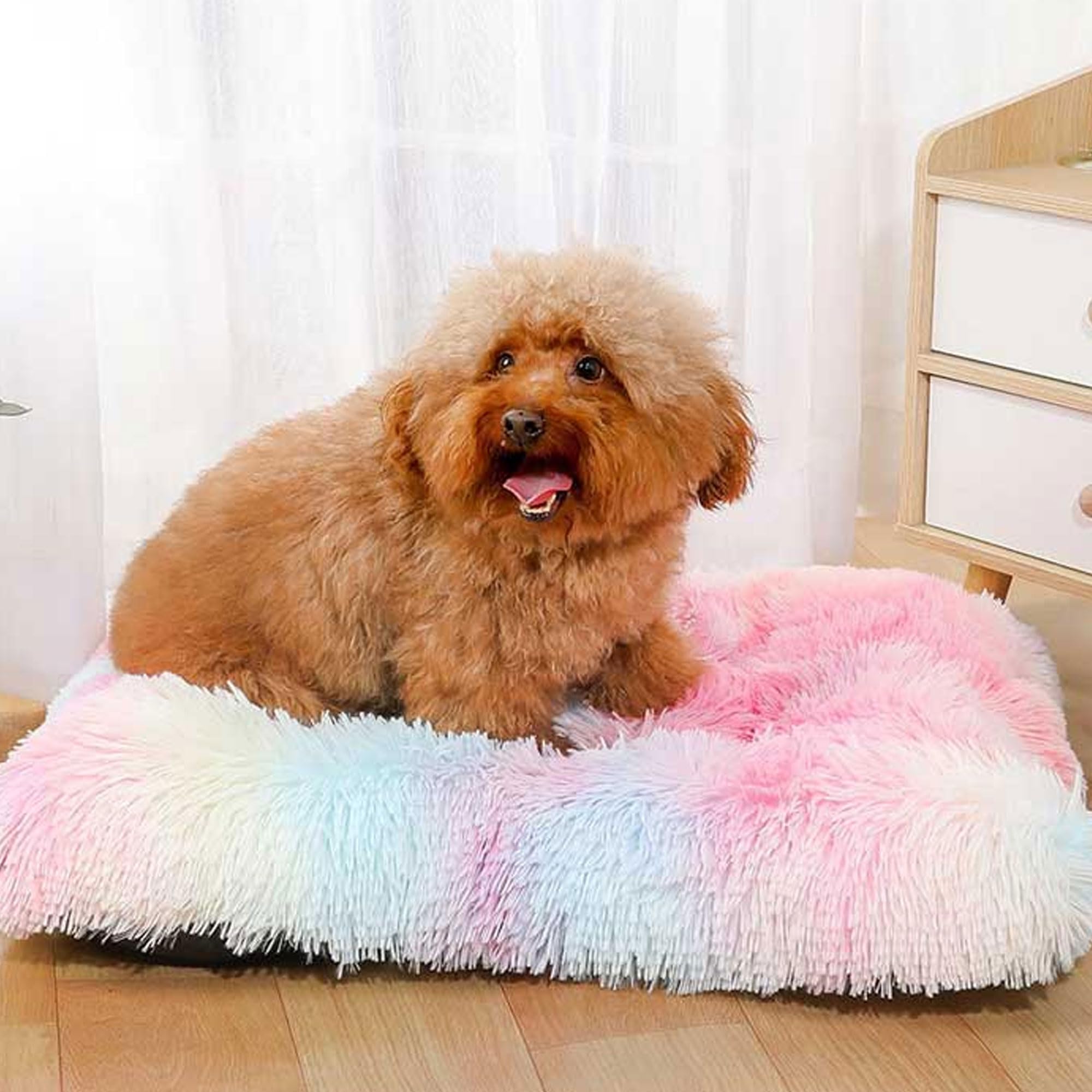 JupiterJX Small Dog Bed Washable Plush Dog Crate Matters Calming Fluffy Cat Dog Beds Anti Anxiety, Soft Warm Puppy Dog Sleeping Mat With Non-Slip Back, For Small Dogs (55x45cm, Rainbow)