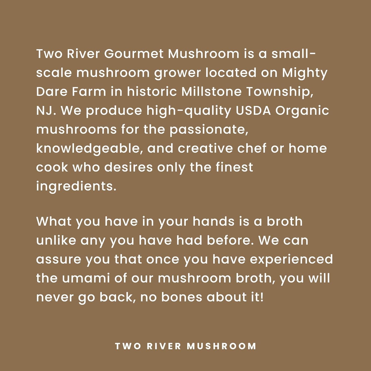 Two River Lion's Mane Mushroom Broth made with organic Lion's Mane and Shiitake Mushrooms, vegan plus adaptogens, perfect for sipping and souping, 510ml, 4ct (Pack of 4)