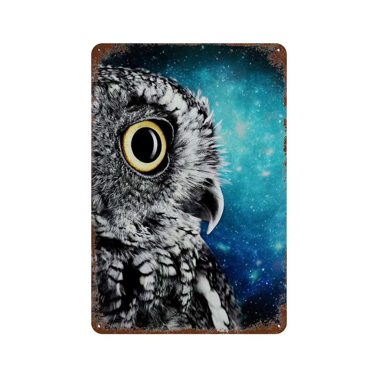 Weathered Tin Sign with Owl Galaxy Design 11.8"x7.9", for Office, Studio And Wall Decor, Retro Wall Decor