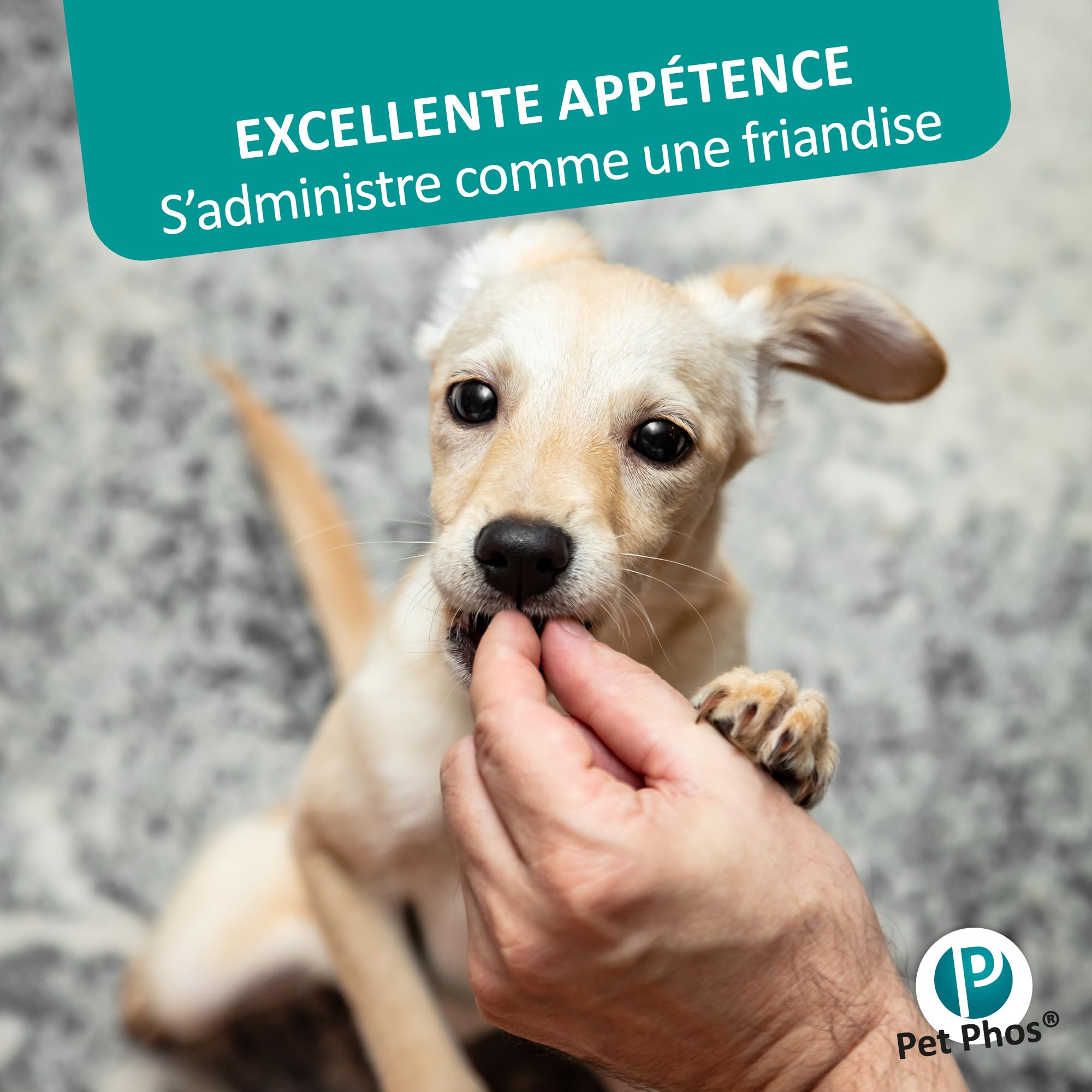 PET PHOS Croissance CA/P = 1,3 - pour Chiots en Croissance et Femelles gestantes ou allaitantes nourris avec Une Ration Industrielle. 100 comprimés