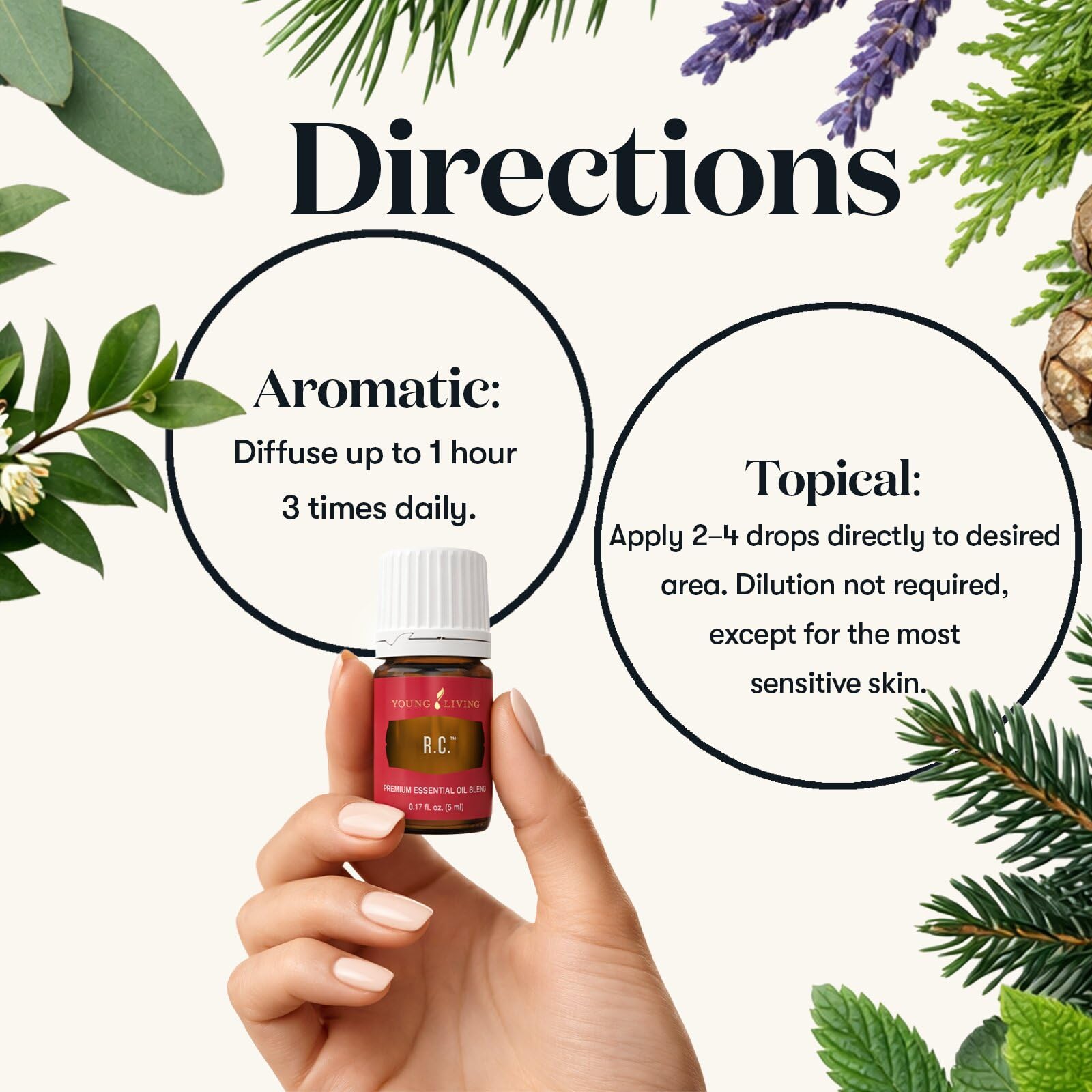 Amazon.com: Young Living R.C. Premium Essential Oil 5 ml