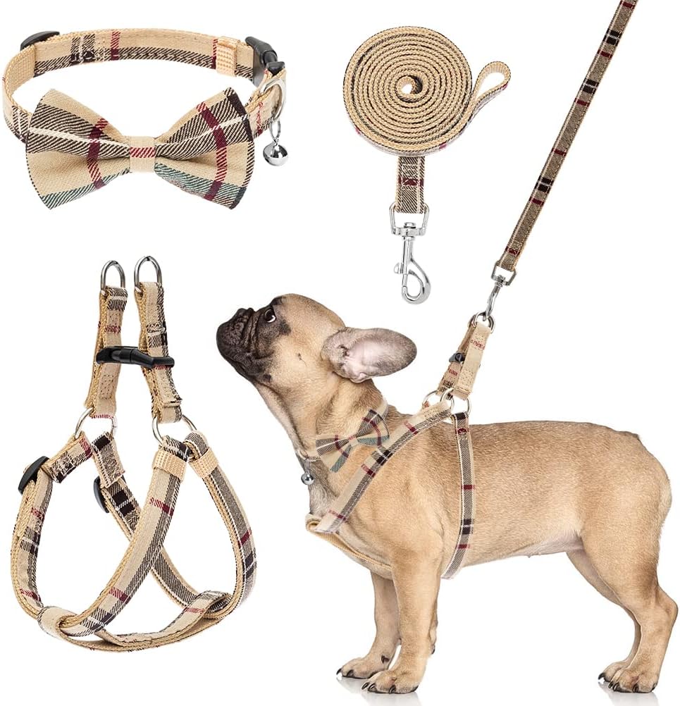 dog leash set