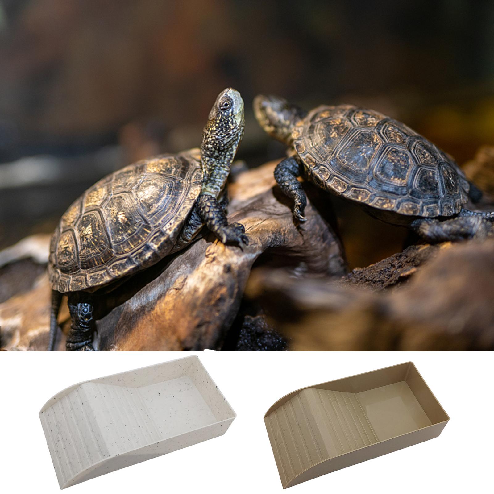 Ciotola Cibo E Acqua Per Rettili A Forma Di Tronco - Con Pinzette Per Alimentazione - Foto 3