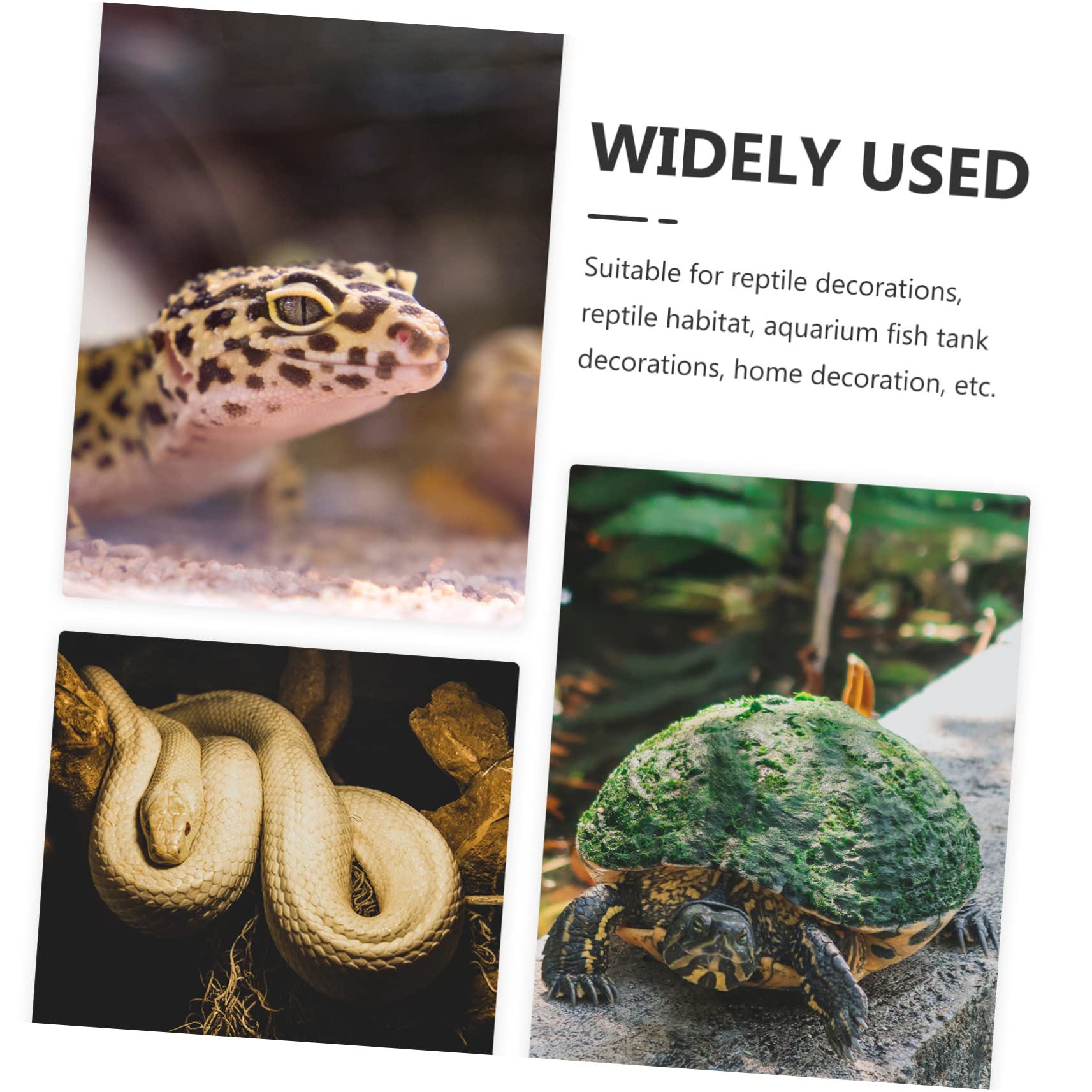 Mipcase 25piezas Artificiales para Terrarios De Reptiles Decoración De y Hábitats para Tortugas y Peceras para Fijación