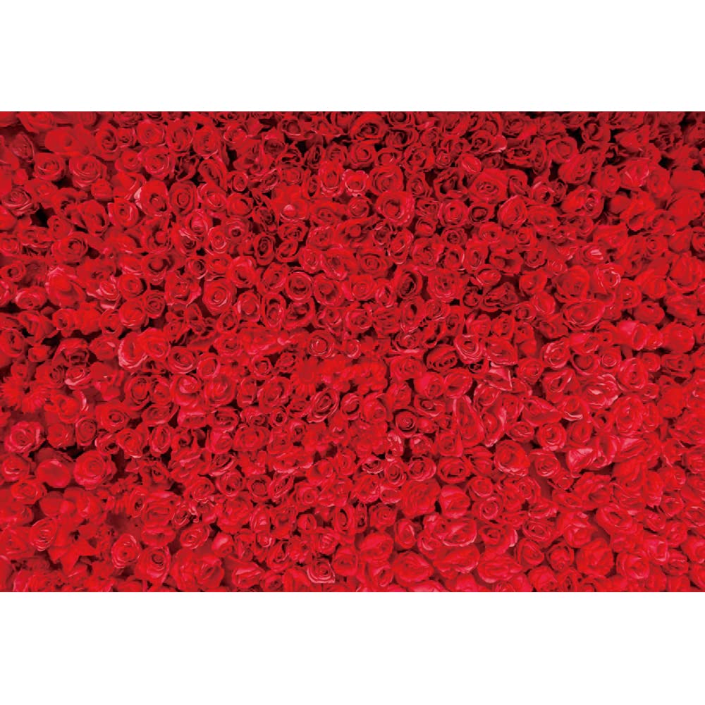 6.1x3 m rote Rose Fotografie Hintergrund rote Rose Blume Wandhintergrund Rose Blumen Hochzeit Brautdusche Geburtstag Party Dekoration Hintergrund Banner Valentinstag Muttertag Foto Hintergründe