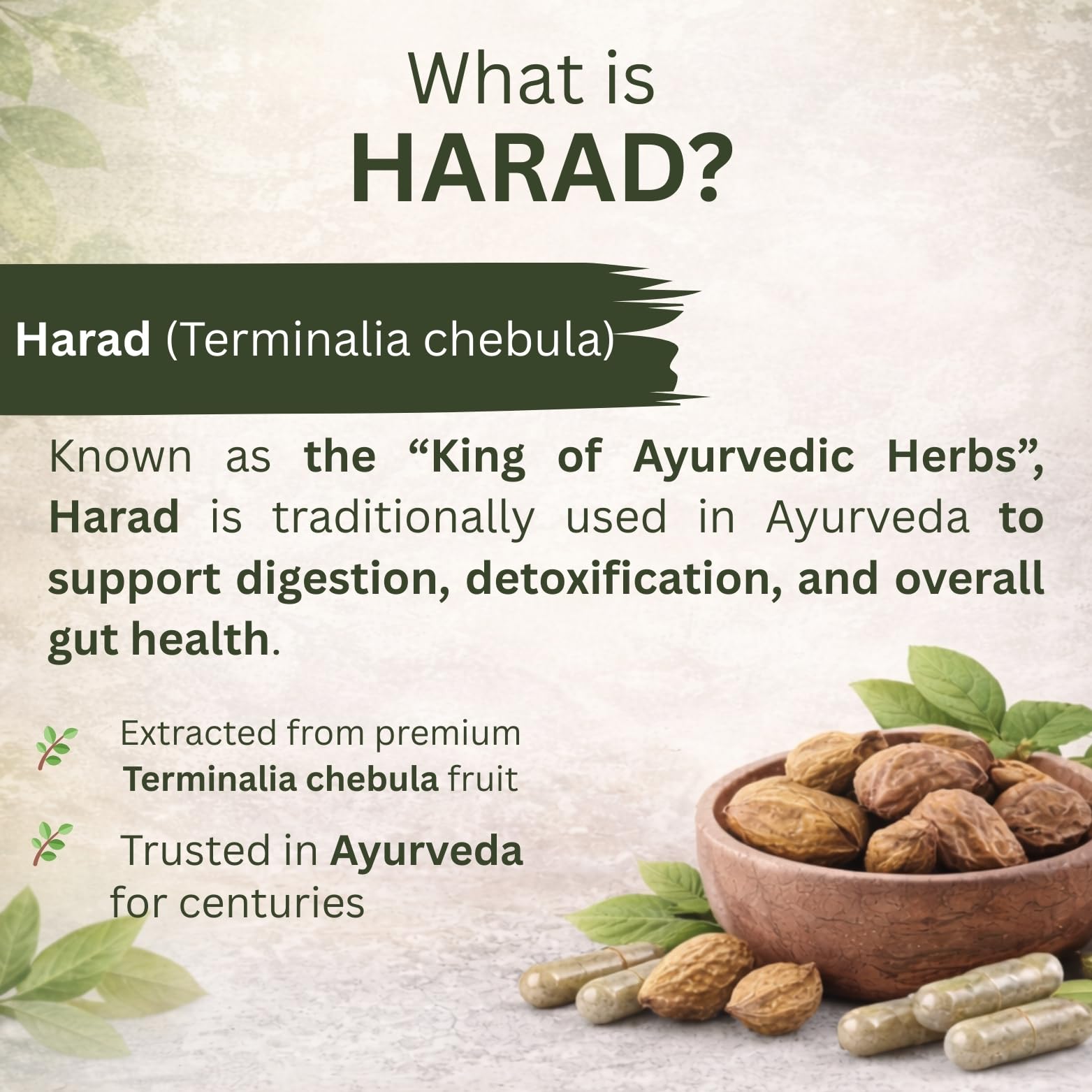 Harad 500mg Capsules | 60 Veg Capsules | Haritaki Ayurvedic Herbal Supplement For Digestive Support And Internal Wellness | Plant-based Extract | Suitable For Men And Women — Amazon image 4