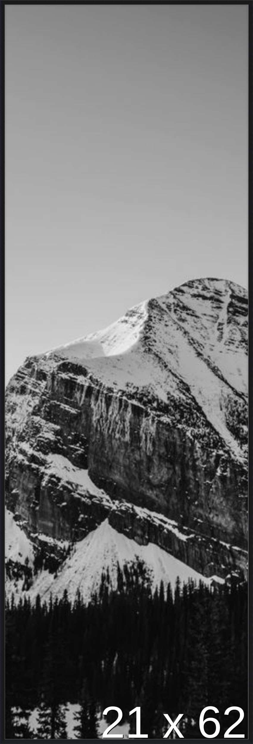 Frame It Easy 21 x 62 Satin Black Metal Frame (Ashford)