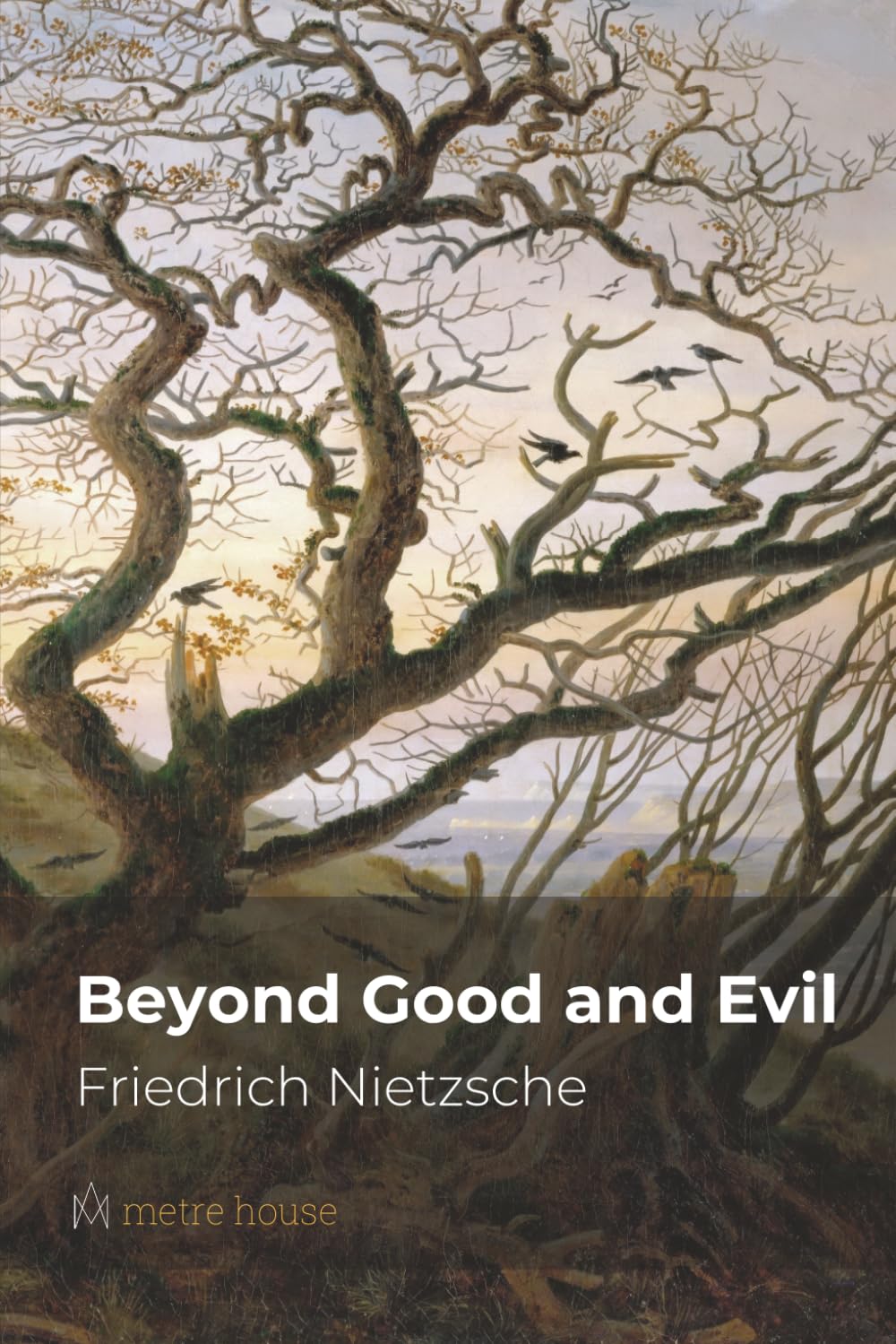 Beyond Good and Evil: (metre house edition)