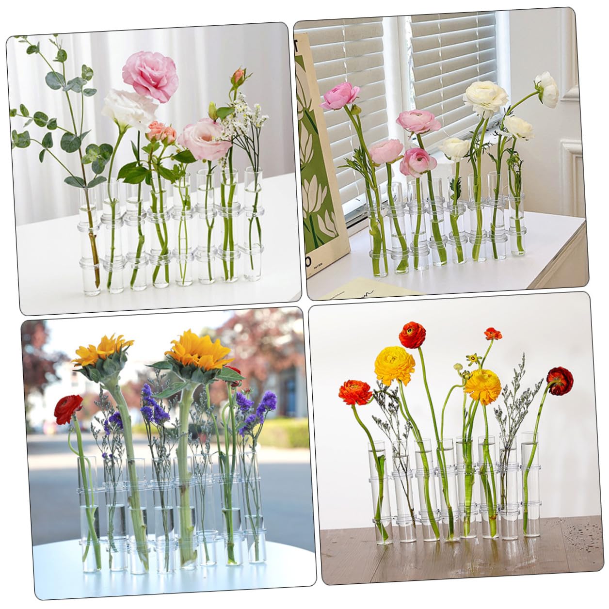 Set de Vases Verre Transparent pour Propagation Hydroponique Grand Format avec Brosse Pot de Fleurs Design pour Décoration Intérieure et Bureau