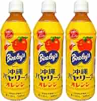 nemolukovich 食品サンプル　バヤリースオレンジ Amazon.co.jp: アサヒ飲料 バヤリース すっきりオレンジ 245ml