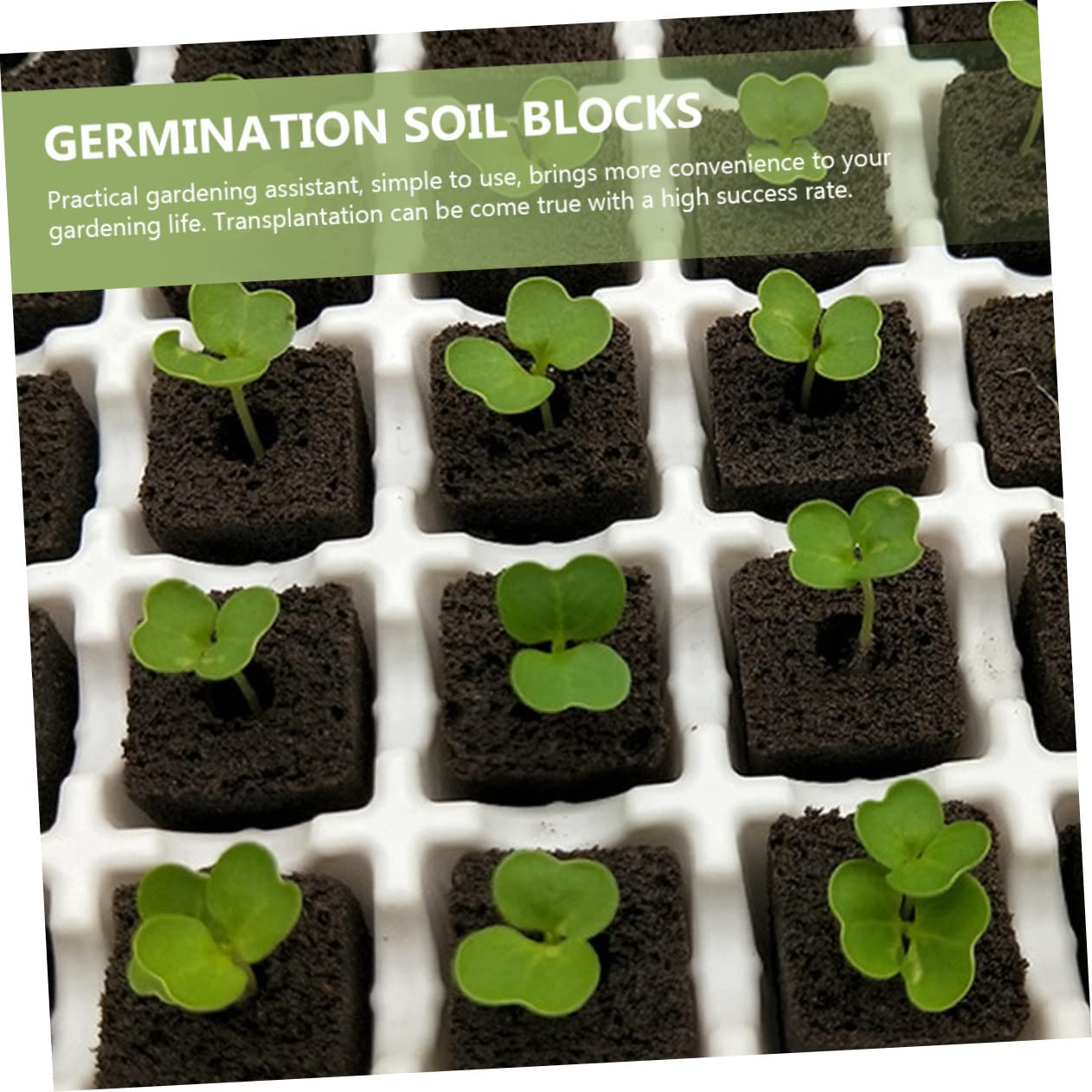 BESPORTBLE 150pièces Bloc De Nutriments pour Cultures sans Sol Accessoires De Jardinage pour