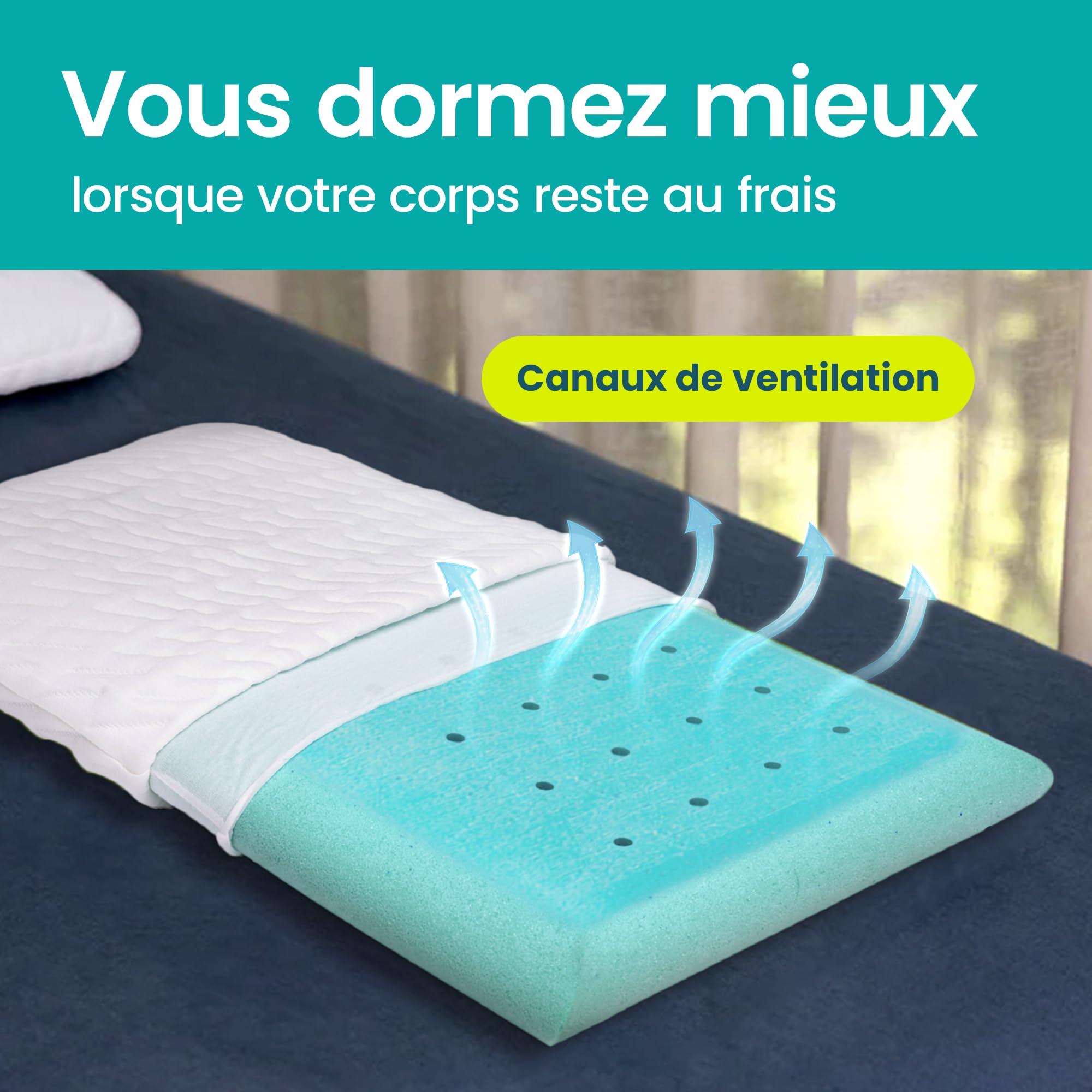 BLISSBURY Oreiller rafraîchissant en Mousse à mémoire de Forme – 6,6 cm d'épaisseur – pour Les dormeurs sur Le Ventre et Le Dos – Grand lit – Housse Amovible Cool-Tech certifié CertiPUR-US