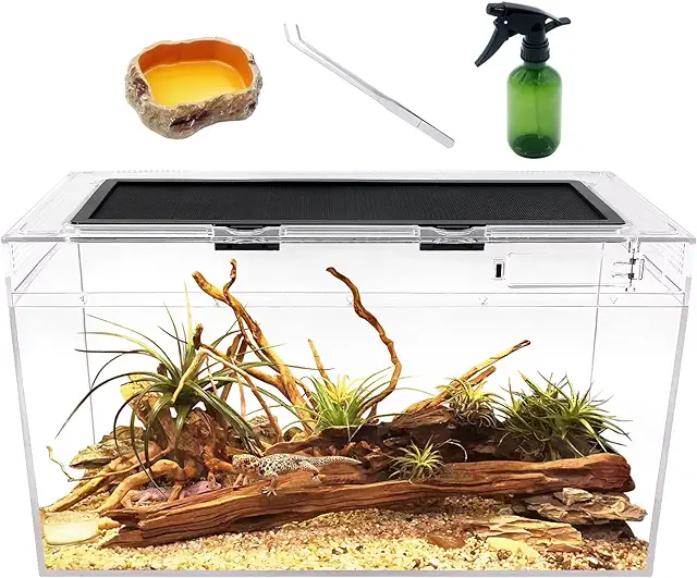 50cm Glass Gecko Terrarium Complete Set for Reptiles & Spiders