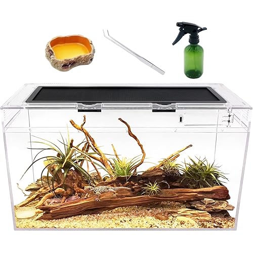 Reptile Terrarium,10 Gallon Reptile Tank 20" x 10"x 11",for Insect，Fish，Tarantula，Hermit Crab，Jumping Spider，Iguana，Tortoise，Leopard Gecko，Bearded Dragon