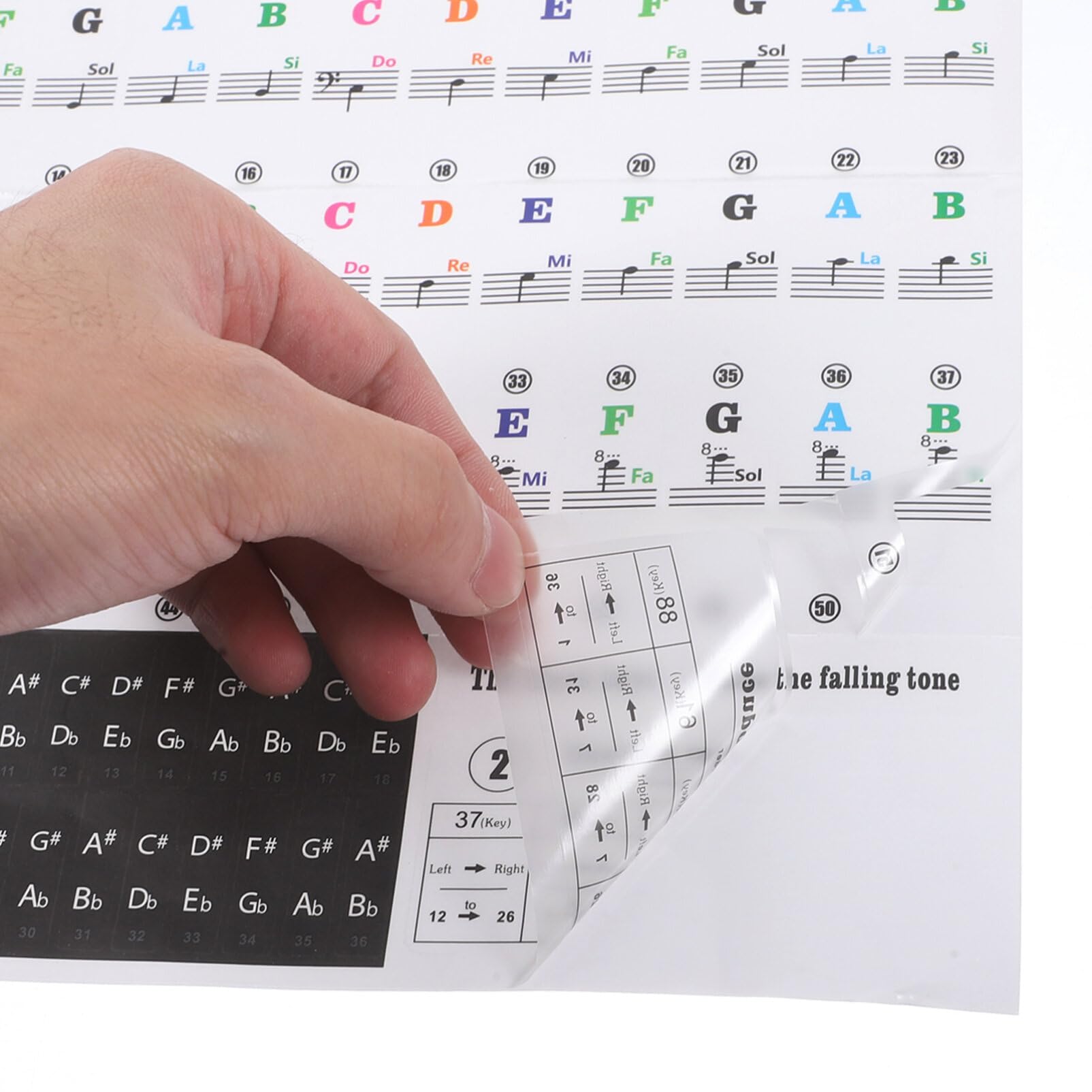 Alasum Piano Notes Guide for Beginner Removable Piano Keyboard Note Labels 88 Keys Keyboard Sticker Piano Music Guide Larger Letter Key Note Stickers