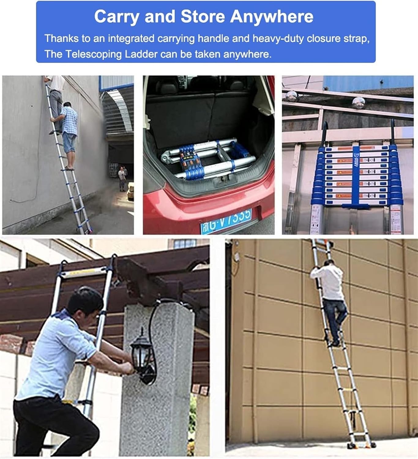 株立ち・美白斑点模様】アオダモ A250411 【茨城直接引渡し可】 山採り