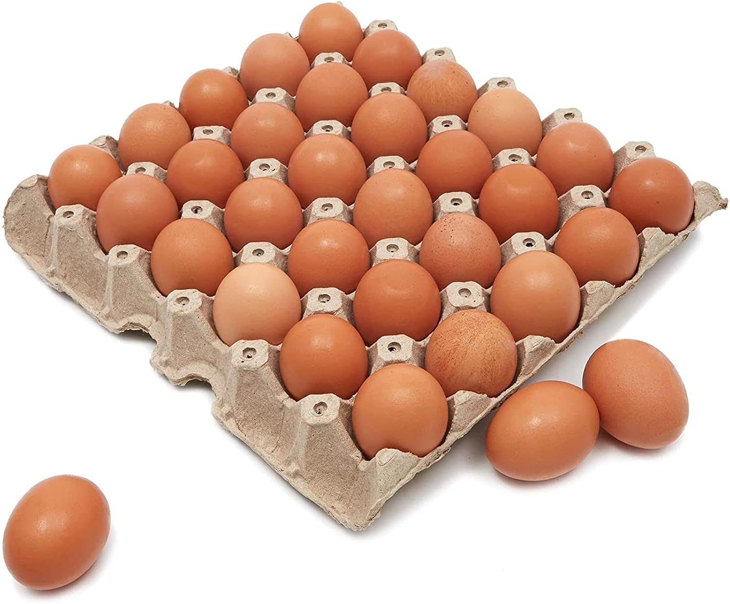 Juvale Flat Paper 30-Count Egg Carton Trays (20 Pack)