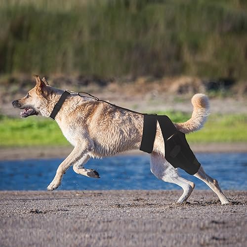 Miniatura 7 de Rodillera para perro con estabilizadores laterales, soporte para perro ACL CCL Lesión del ligamento cruzado dolor articular y dolor muscular (talla