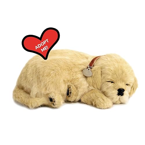 Original Petzzz Golden Retriever, Realistic, Lifelike Stuffed Interactive Pet Toy,