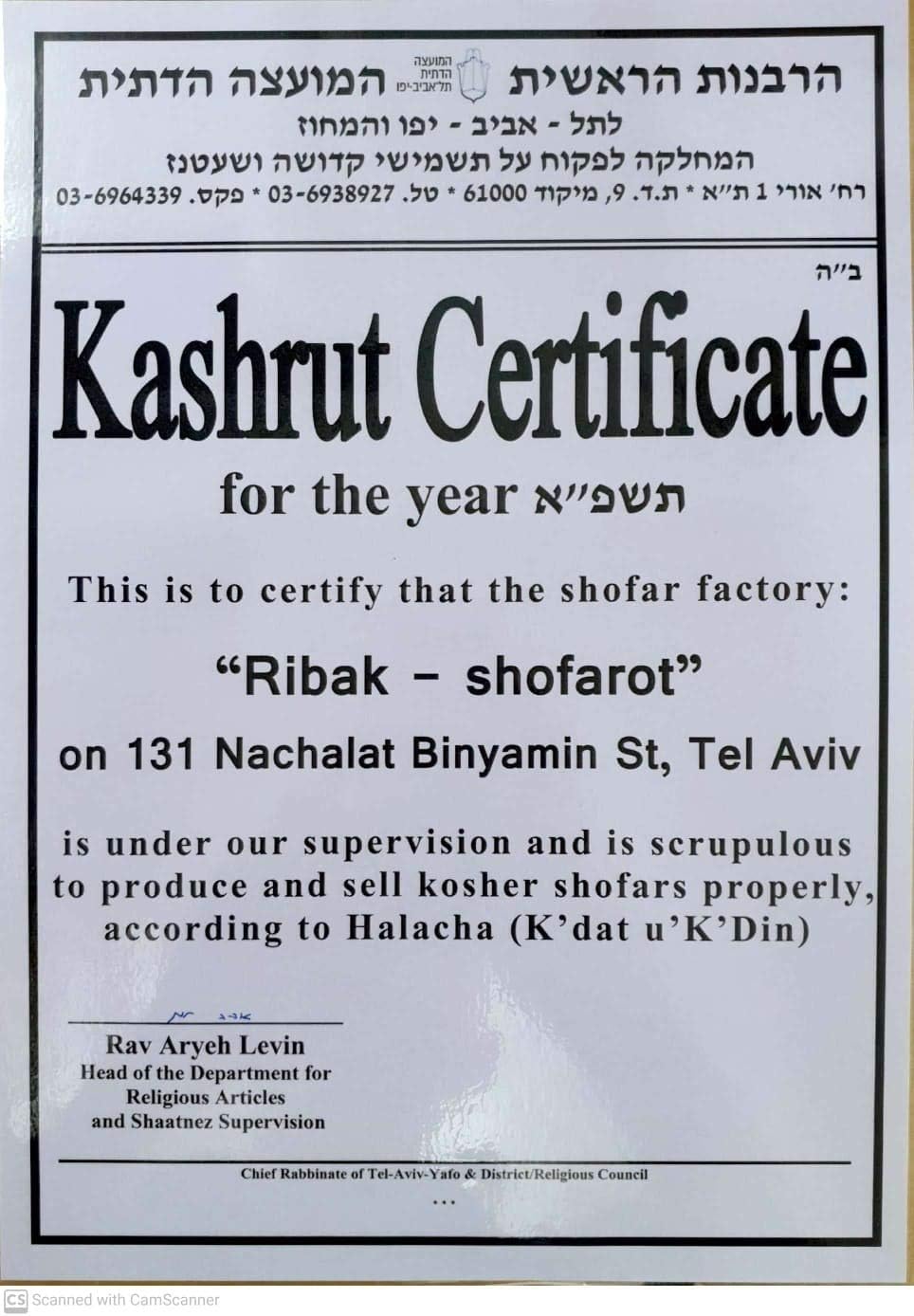 Shofart Israel 12 Tribes silver plated rams' ram horn shofar kosher from the Holy land + Free bag : Musical Instruments