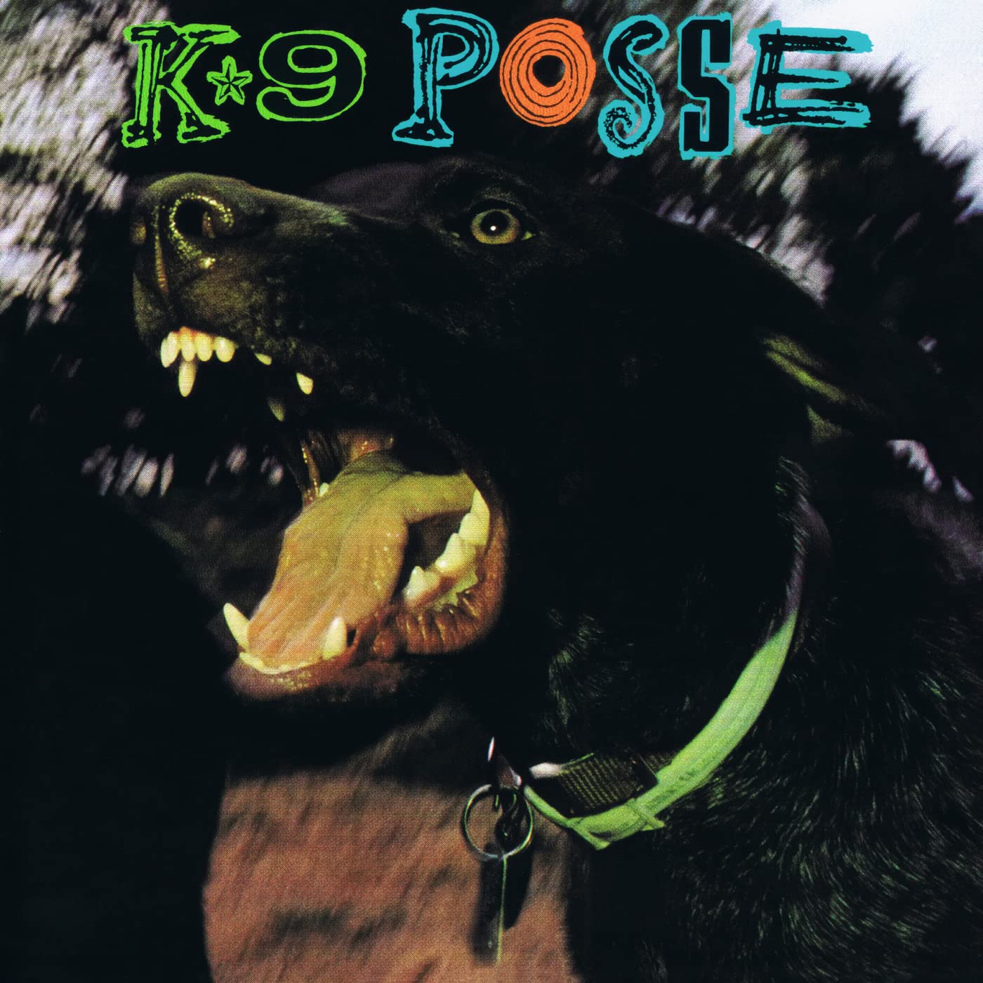 K-9 Posse