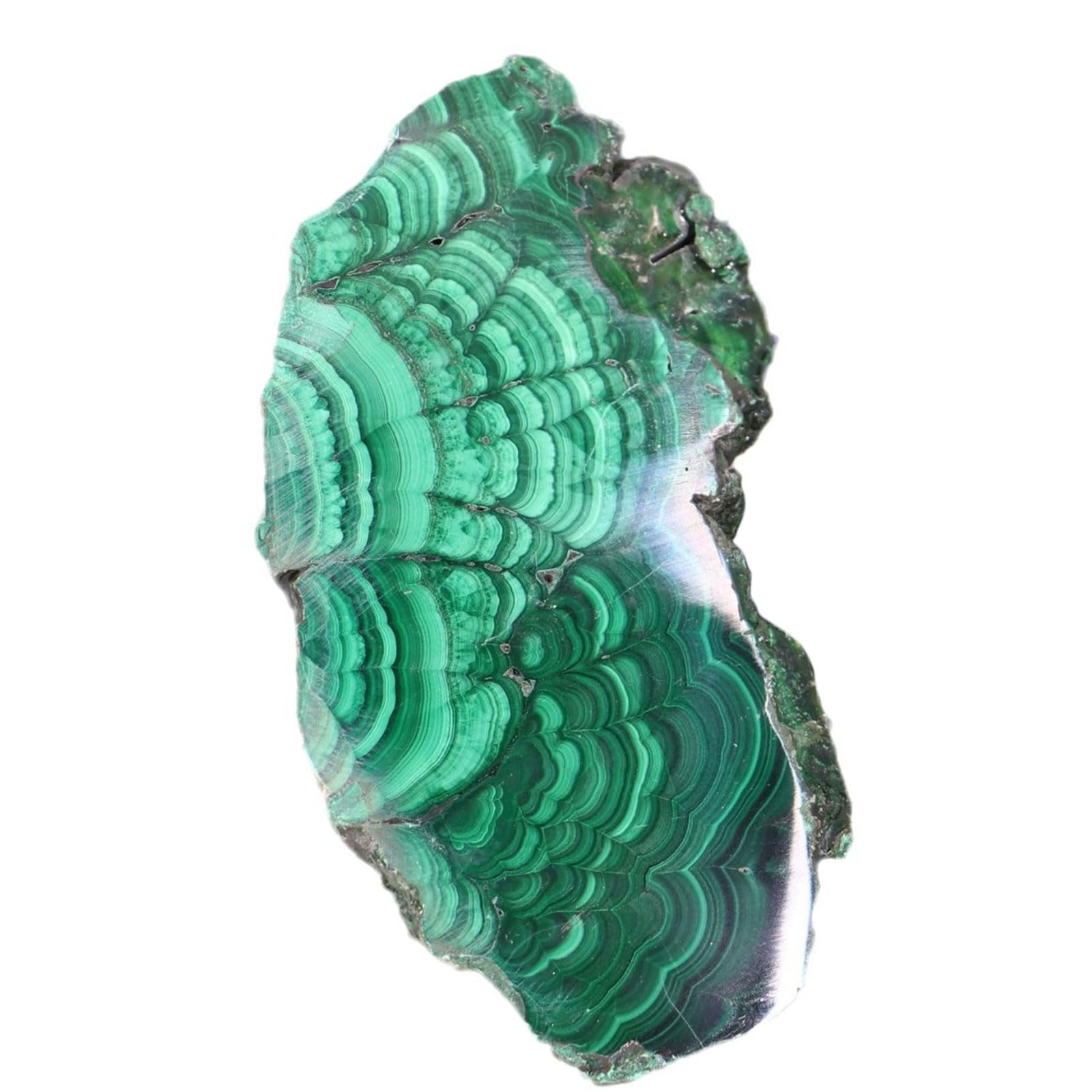 Fette di Cristallo di Malachite Naturale 1PC Campione Minerale Verde Pietra Grezza Irregolare per la Meditazione Reiki Fai-da-Te lucidata, la Decorazione della casa,300~400g