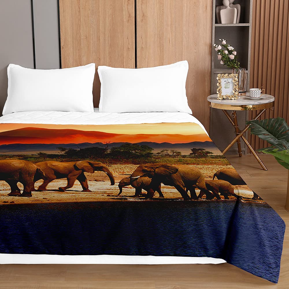 Couvre-Lit Odot Boutis Matelassé – 220x240 Cm – Microfibre Douce, Imprimé Animaux – Pour Lit Deux Personnes, Toutes Saisons