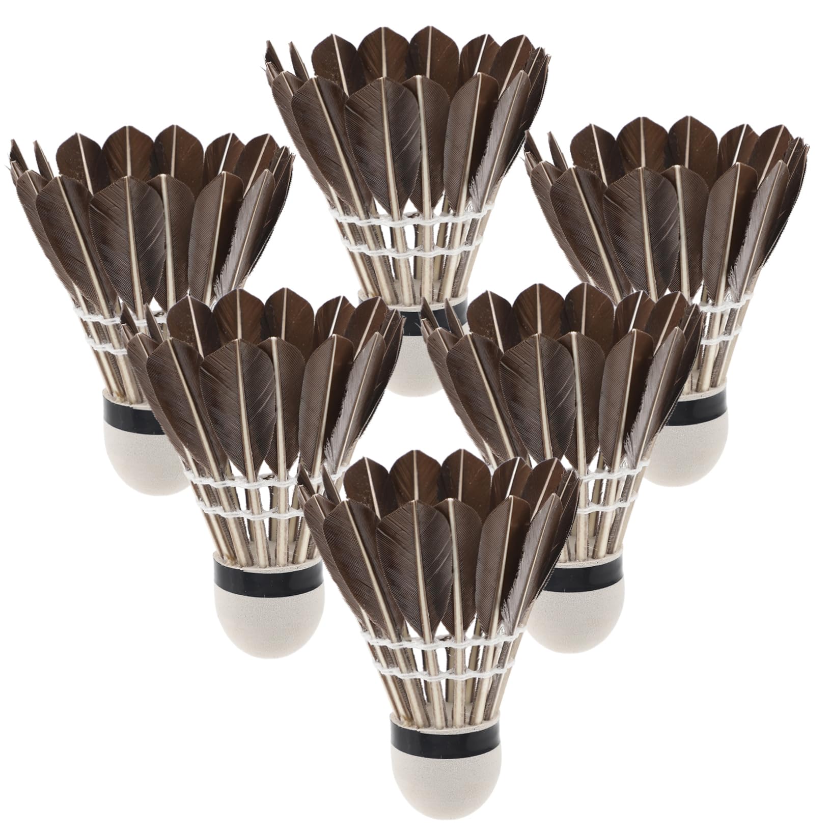 GANAZONO Badminton Shuttlecocks Set for Boys and Girls 6pcs Training Shuttlecocks for Sports