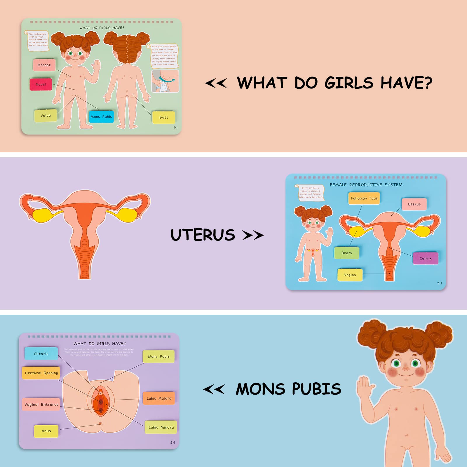 Freebear Montessori Busy Book for Kids, Human Body Anatomy Book for Toddlers, Preshool Kindergarten Learning Activities, Autism Sensory Toys, Gifts for Girls and Boys 4-7 Years- Human Body Procreation