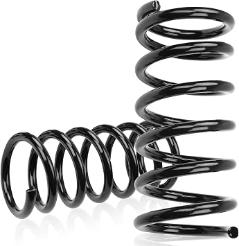 2PCS Rear Suspension Coil Spring Set Fit for Nissan Altima 2002-2006, Maxima 2004-2008, Driver and Passenger Sides Replace number# 550203Z100, 55020BJ012