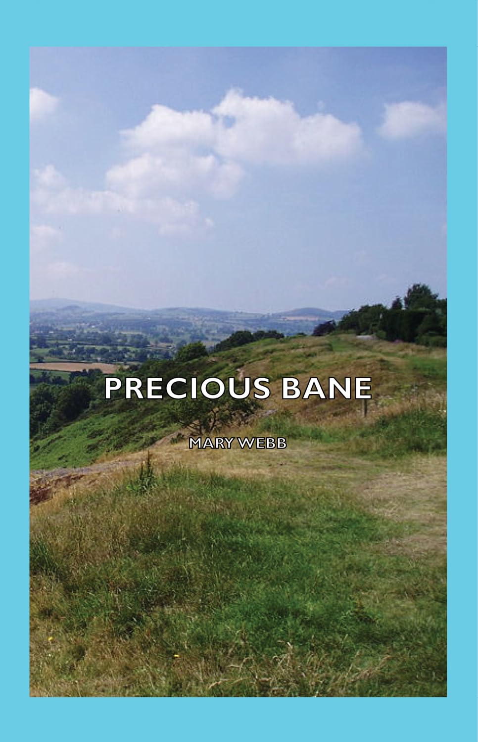 Buy Precious Bane โ BookShops.in