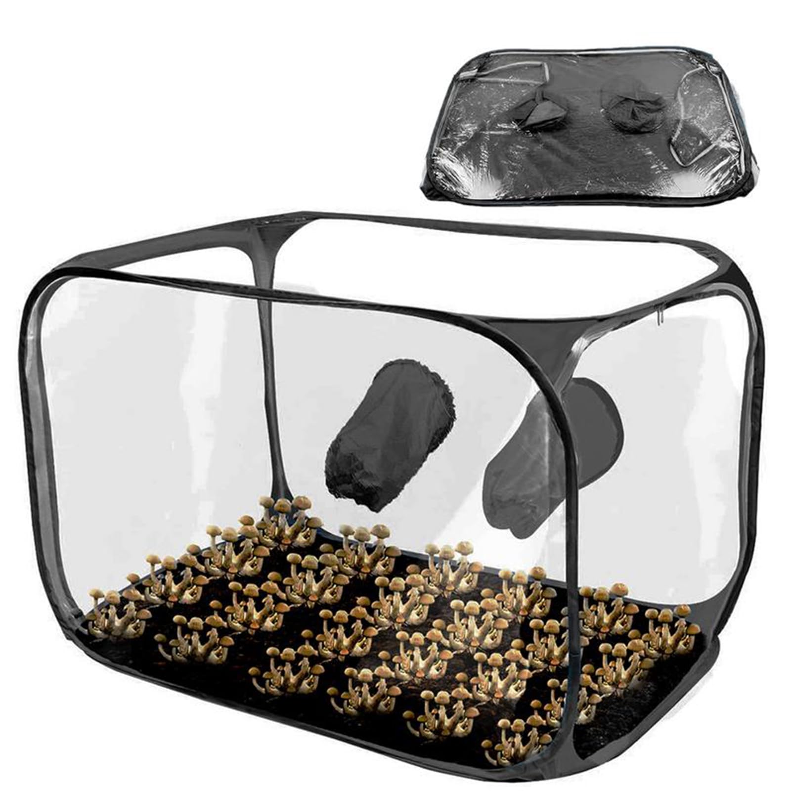 Tente de culture de champignons pliable boîte à air encore 60x60
