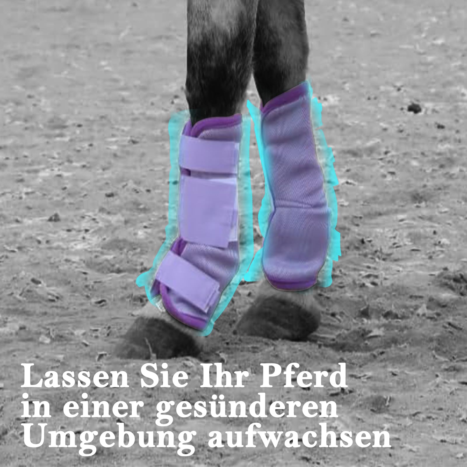 Stinchiere Cavallo Equitazione, Ghette Antimosche Traspiranti per Cavalli a Maglia fine, con Funzioni Protettive e di Sostegno, Protezione dai UV