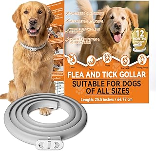 Flohhalsband Hunde (8 Monate Schutz) - Anti Floh- und Zeckenhalsband für Hunde, Wasserdicht & Verstellbar, 65cm Länge für Kleine, Mittlere und Große Hunde