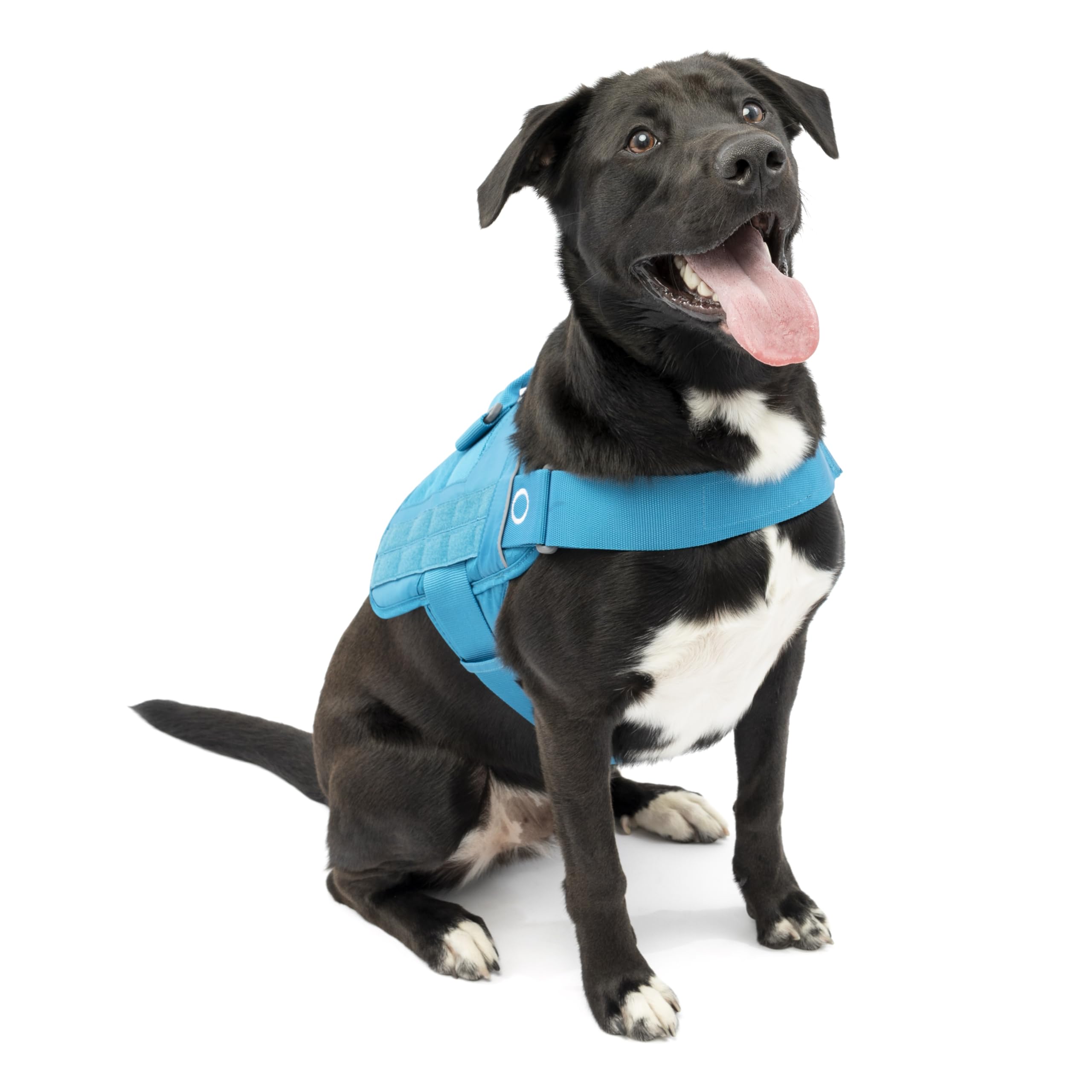 Kurgo RSG Dog Townie Harness - Easy On-Off for Quick Outings - Breathable Mesh - MOLLE-Compatible for Clip-On Accessories - Top Handle - Reflective Trim - Large - Coastal Blue