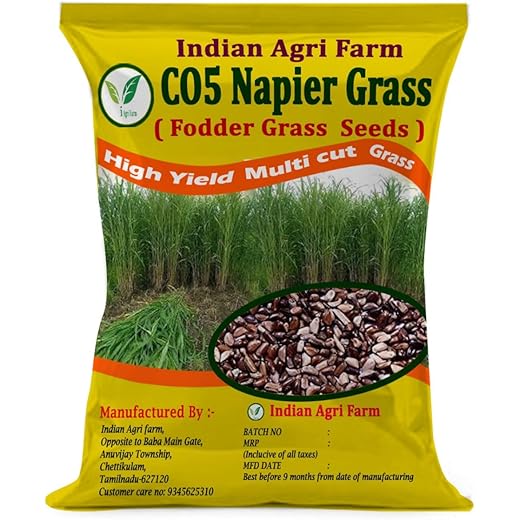 Iagrifarm CO5 Napier Grass Seed - 250 gram/Multicut Fodder Grass Seed for Goat,Cow,Livestock and Cattle