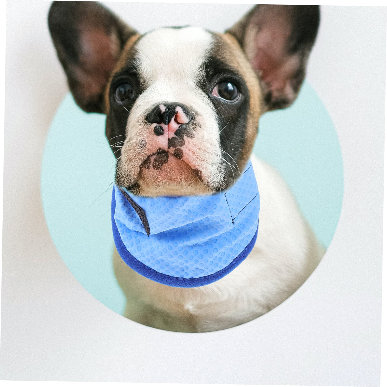 minkissy 4pièces Bandana Réfrigérante pour Chien Écharpe De Refroidissement pour Animaux De Compagnie Accessoire Légèreté pour Promenade Et Activités Extérieures