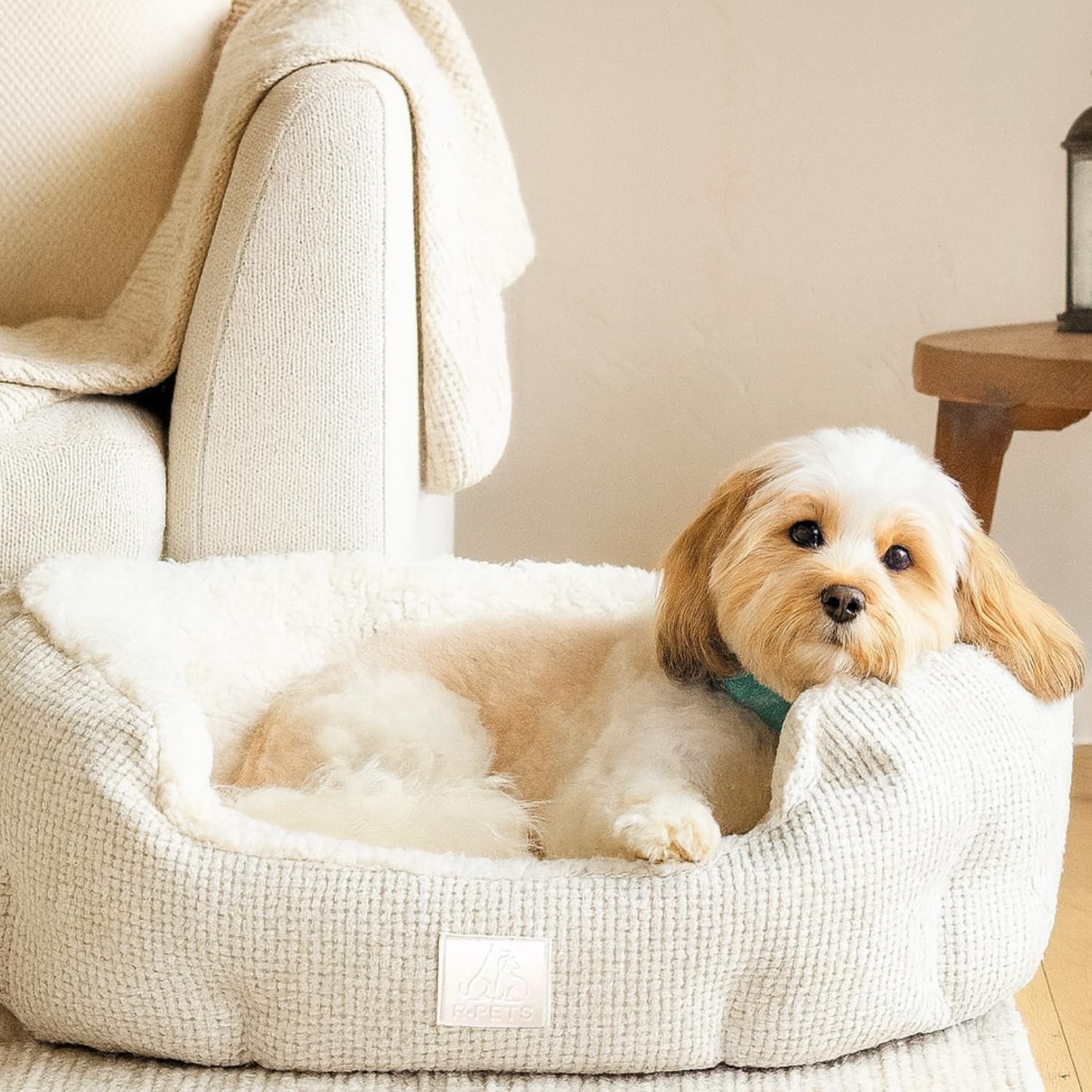 R PETS Snuggle Circle Medium Pet Bed Anti-Anxiety Dog Bed Soft Plush Sherpa Calming Cat Bed Non Slip Base Hypoallergenic Machine Washable Joint Support Cats & Dogs 70cm x 65cm x 18cm