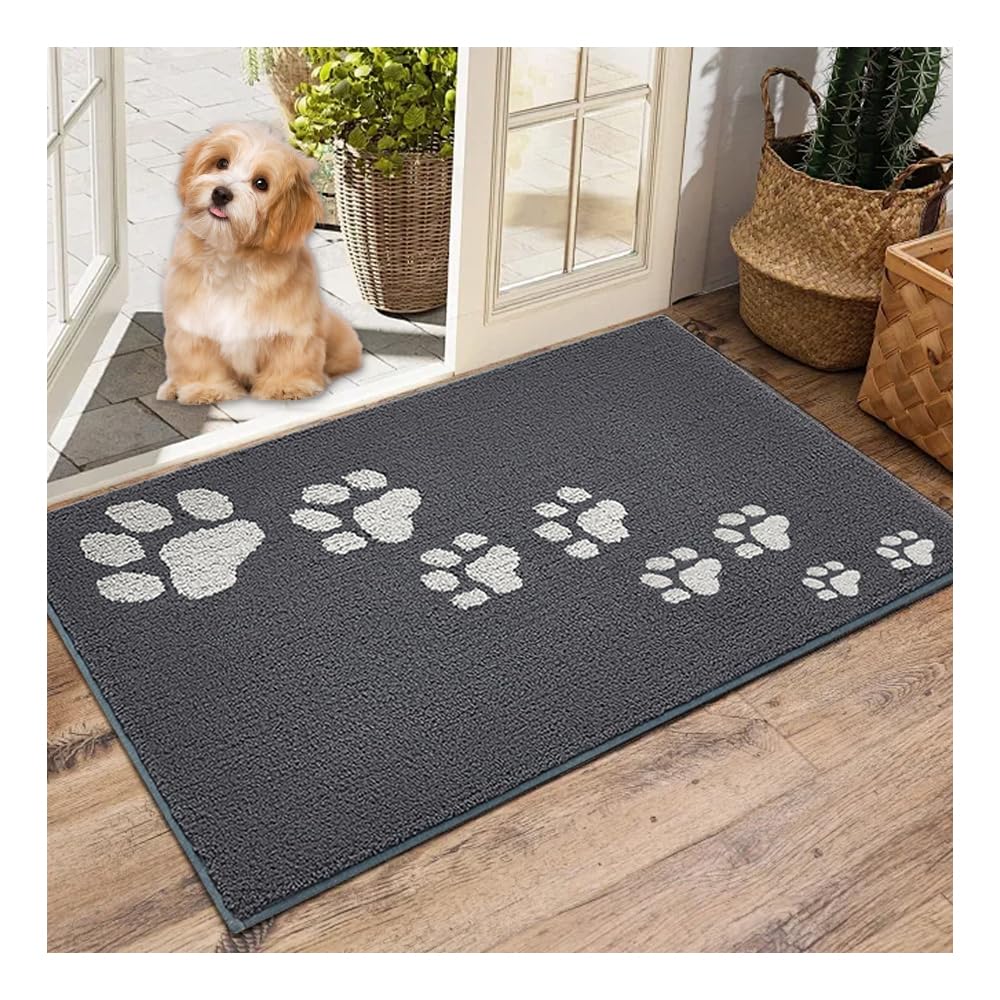 Bieiyhe Felpudo Entrada Casa 50 x 80 cm, Alfombra Recibidor Interior, Alfombra Pasillo Entrada, Lluvia Alfombras Puerta, Tapete Entrada Casa Gatos,Alfombra Lavable Antideslizante,Felpudo Absorbente