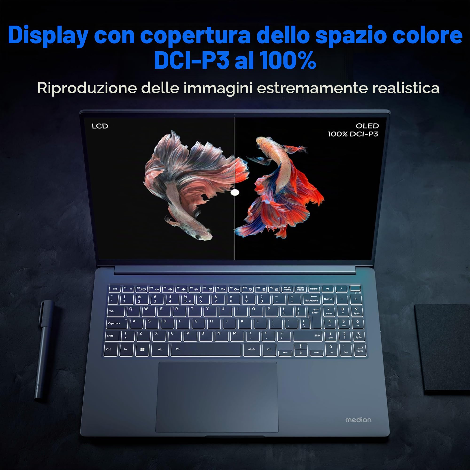 MEDION 40,6 cm (4K OLED) S10 Laptop (Intel Core Ultra 7 155H, 16 GB DDR5 RAM, SSD PCIe da 1 TB, 100% DCI-P3, webcam FHD, WLAN, Win 11)