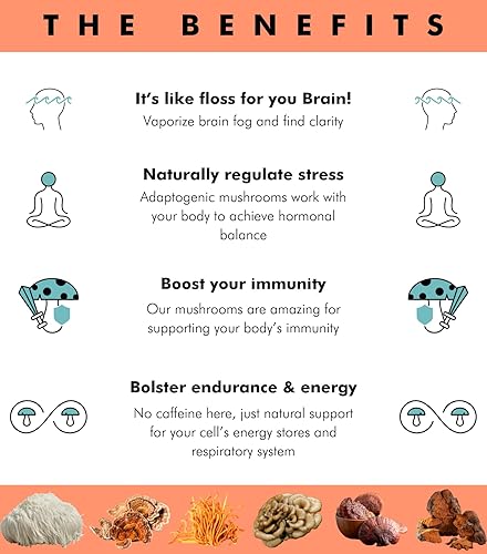 Miniatura 2 de Superfood - Gomitas de hongos  Delicioso suplemento diario de hongos múltiples 2,008 mg  Melena de León + hongo Reishi + Cordyceps + cola de pavo +