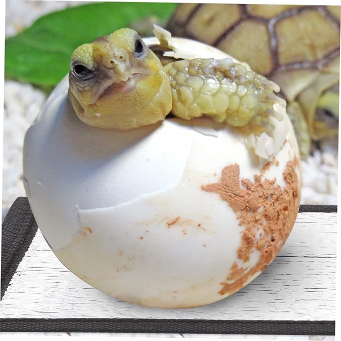 Almohadilla Térmica para Reptiles Levemolo 3 Unidades miniatura 9