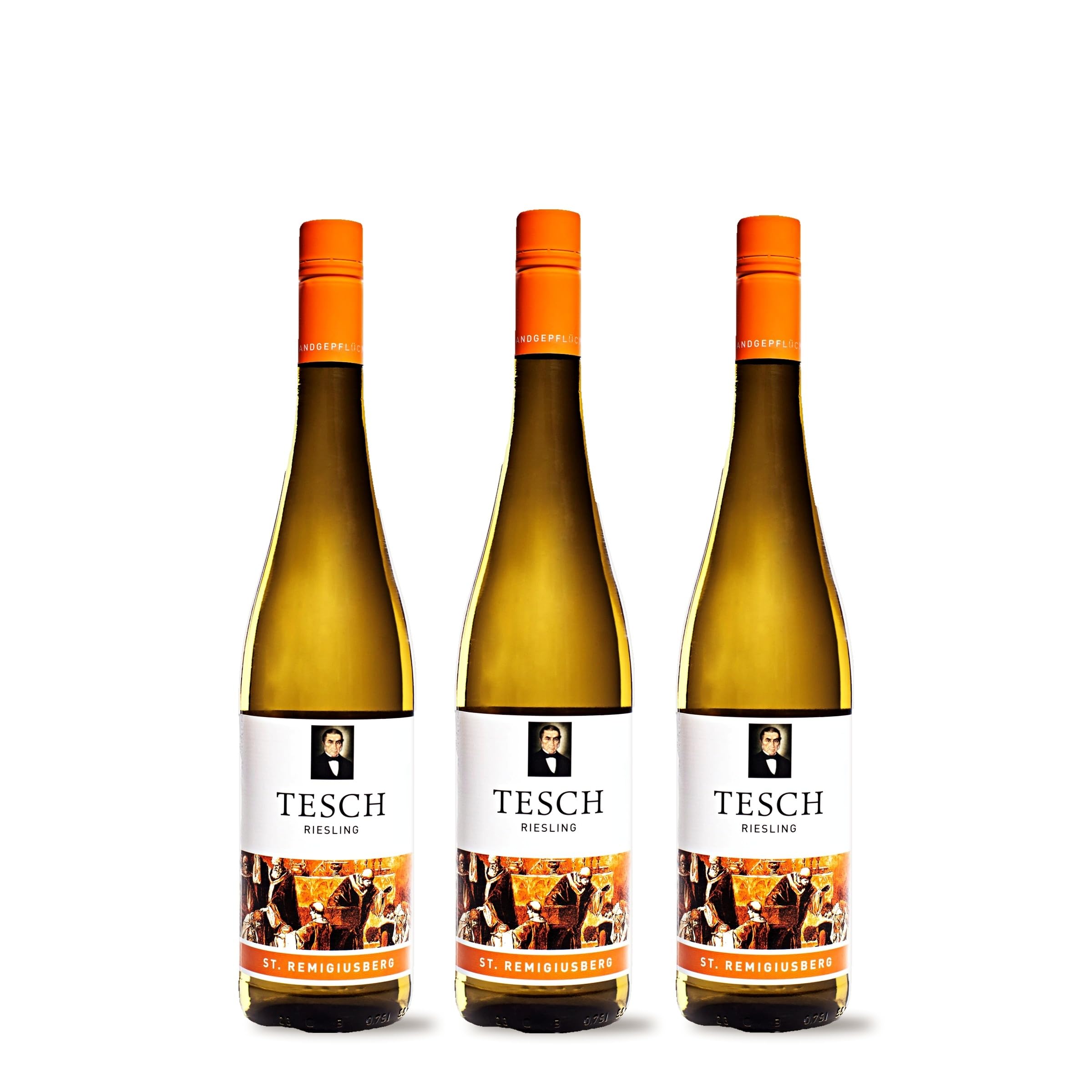 Tesch 2024 Riesling St. Remigiusberg trocken (3 x 0,75 l) inkl. weine.de-DropStop